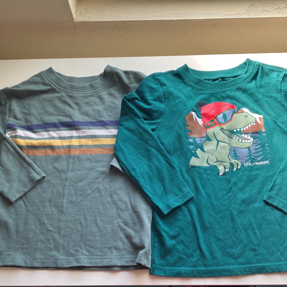 🌻Garanimals Teal Long Sleeve Tee